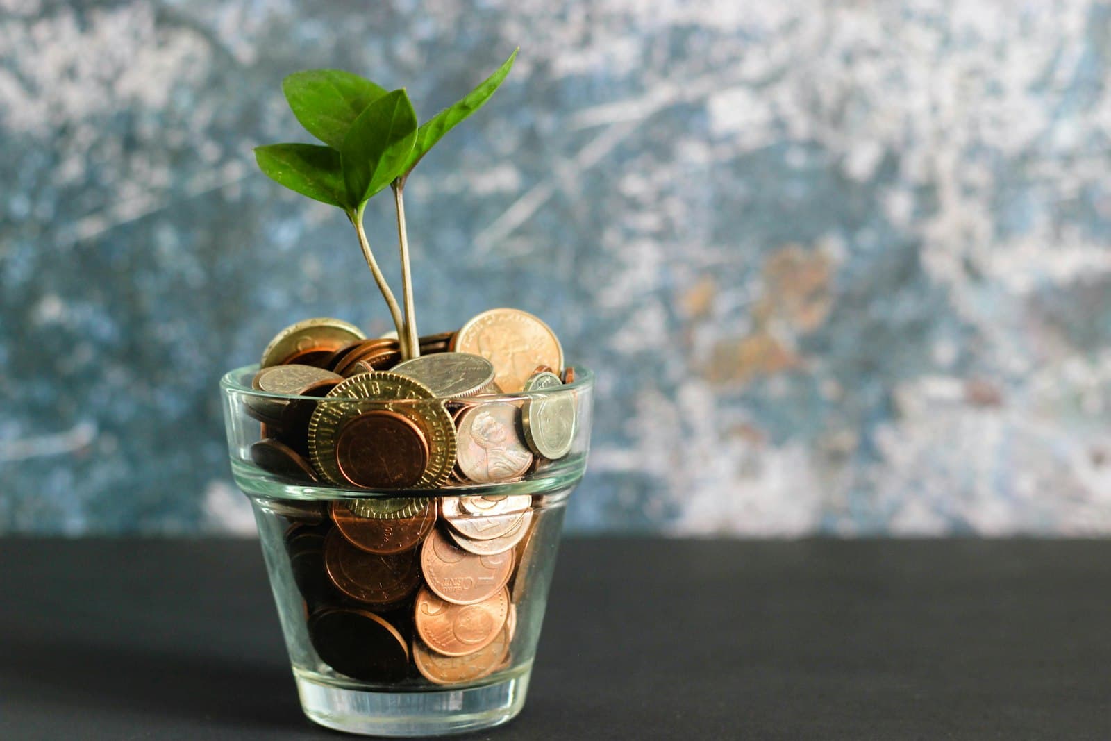 Glas mit Euro-Münzen und einem grünen Sprössling